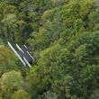 Overhead view of the Karuizawa house surrounded by trees.
